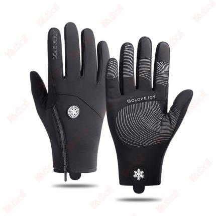 leather glove